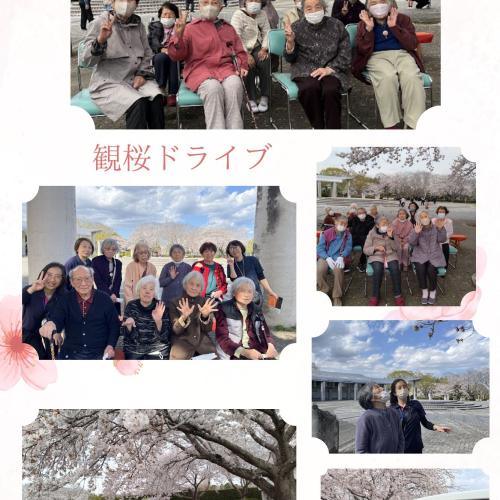 親愛会(水戸市)さくらさくら 親愛会(水戸市)さくらさくら