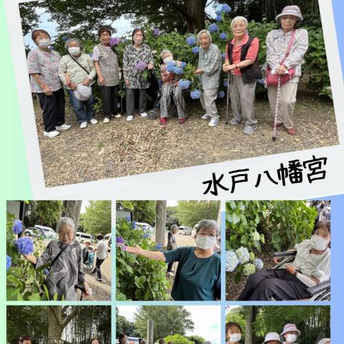 親愛会（水戸市）さくらさくら
