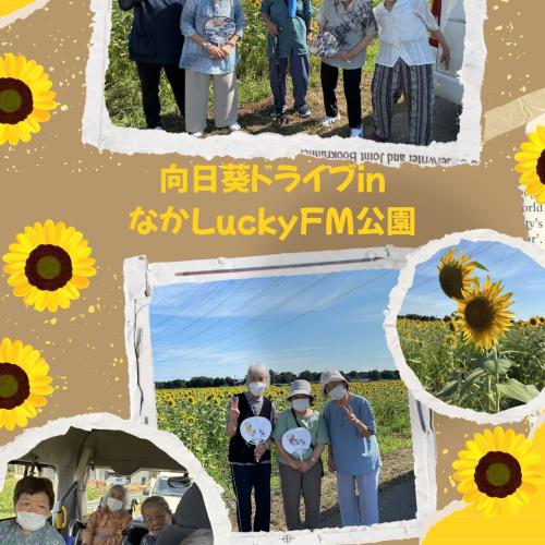 親愛会(水戸市)さくらさくら 親愛会(水戸市)さくらさくら