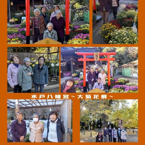 親愛会（水戸市）さくらさくら