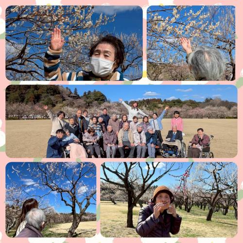 親愛会（水戸市）デイ緑岡