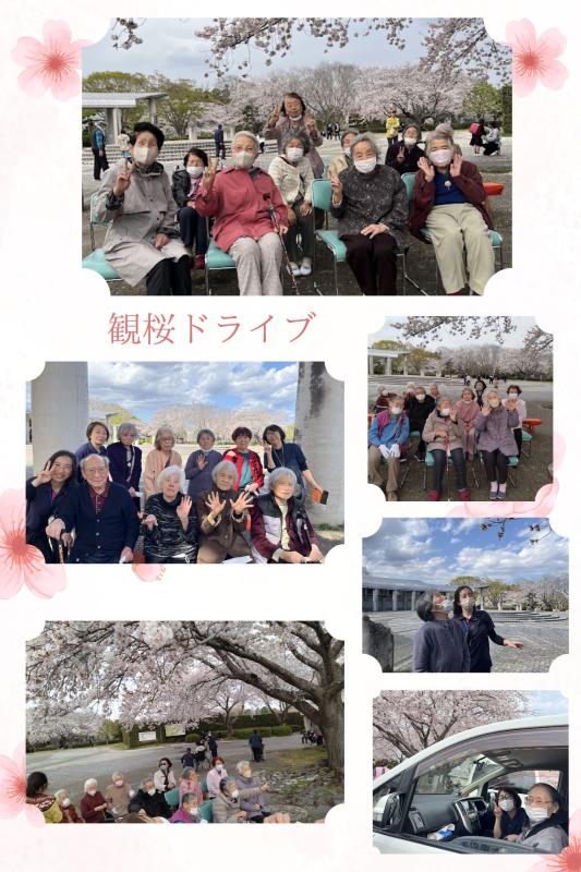 親愛会（水戸市）さくらさくら