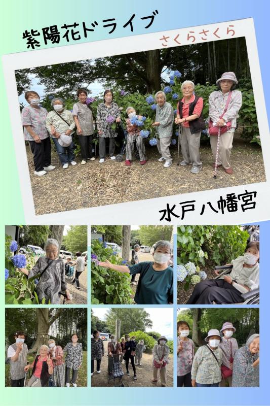 親愛会（水戸市）さくらさくら