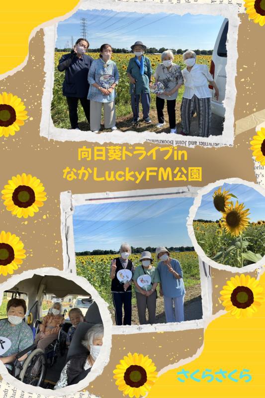親愛会（水戸市）さくらさくら
