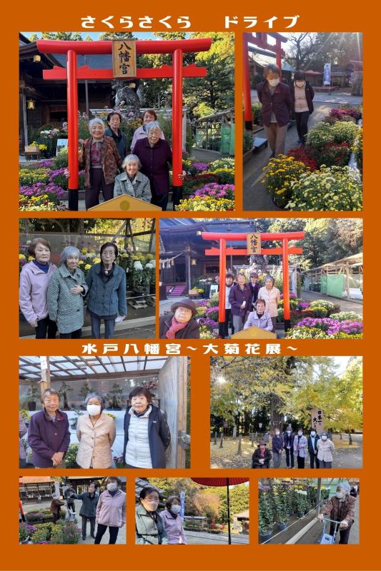 親愛会（水戸市）さくらさくら