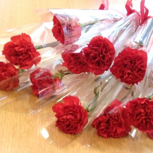 親愛会（水戸市）ケアステーション藤が原