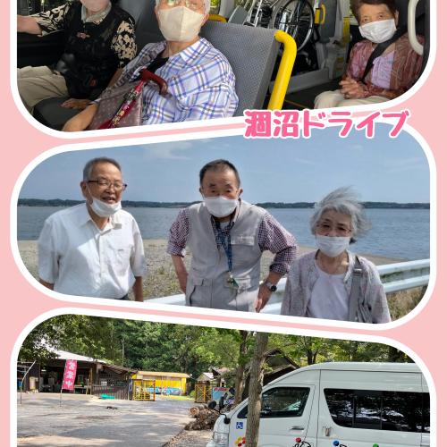 親愛会（水戸市）さくらさくら