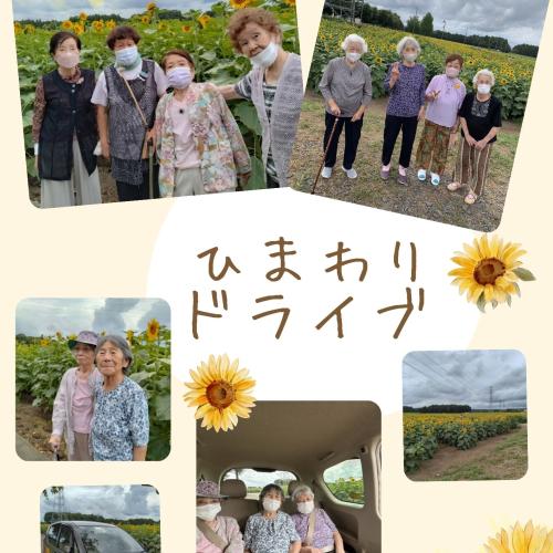 親愛会（水戸市）さくらさくら