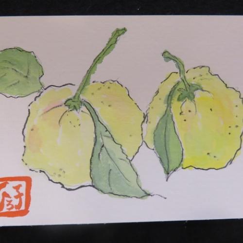 親愛会（水戸市）介護支援センターウィステリア倶楽部